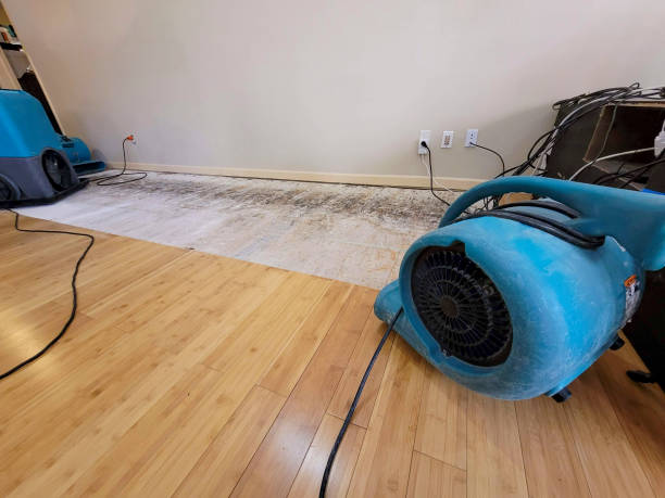 Reliable Burst Pipe Water Damage contractor in Hutchinson, KS by Hirex Water Damage
